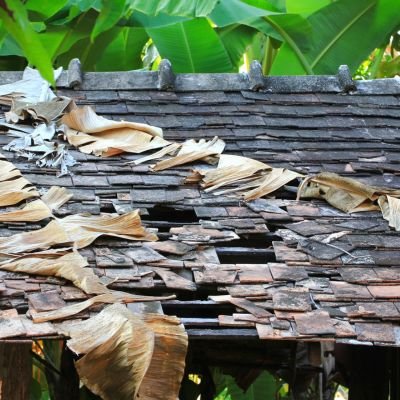 Roof covered with fallen leaves and debris, roof cleaning by Legends Restoration and Group