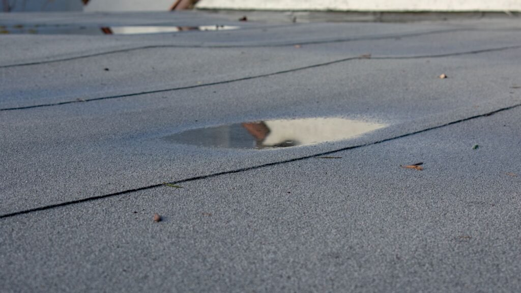 water logging on roof shingles