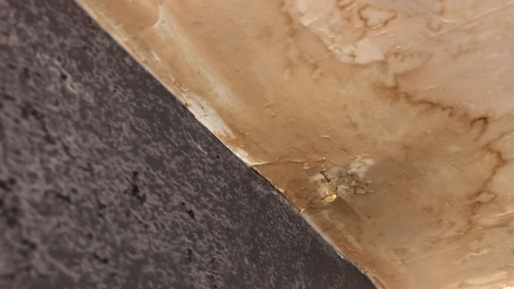 ceiling leakage due to water logging on roof