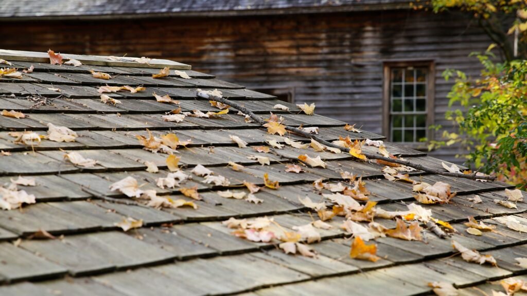 Roof covered with fallen leaves and debris, roof cleaning by Legends Restoration and Group
