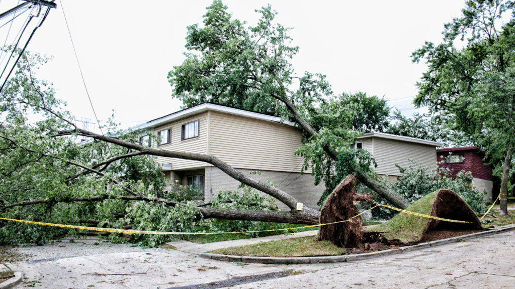 Strom Damge at flat roof and structure of house.