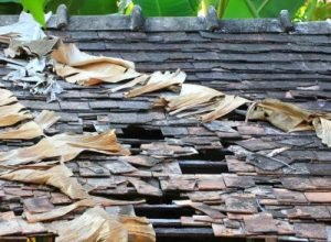 Roof covered with fallen leaves and debris, roof cleaning by Legends Restoration and Group